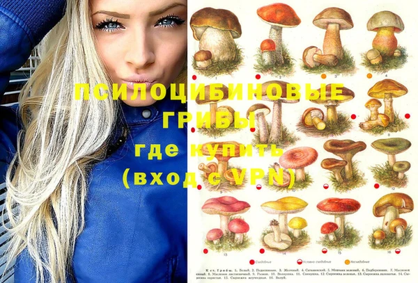 СК Рославль